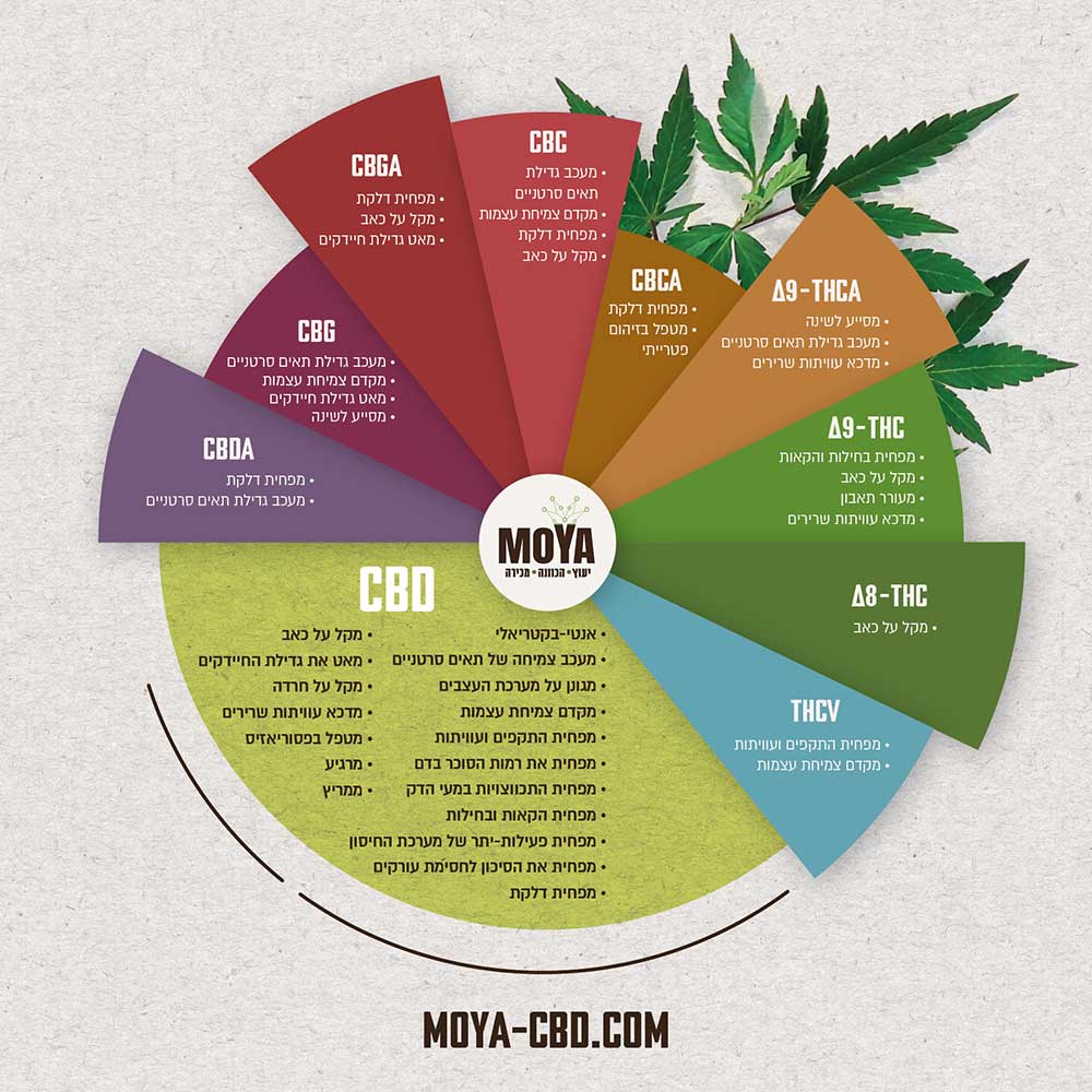 CBD MAP