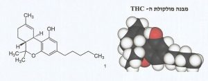 מבנה מולקולת THC