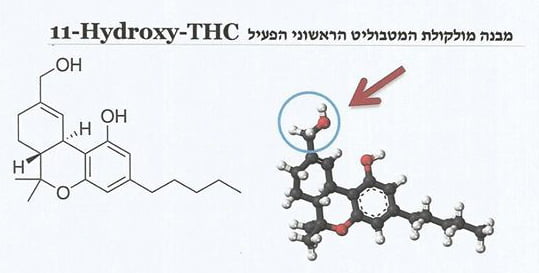 מבנה מולקולת המטבוליט הראשוני הפעיל 11Hydroxy-THC