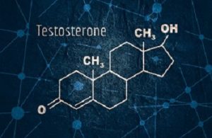 טסטוסטרון, CBD ומערכת הרבייה הגברית