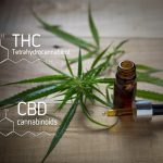 טטרהידרוקנבינול – Tetrahydrocannabinol (THC)