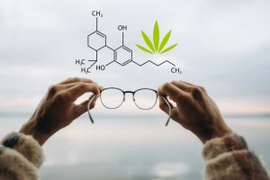 The CBD industry vision versus reality 2024
