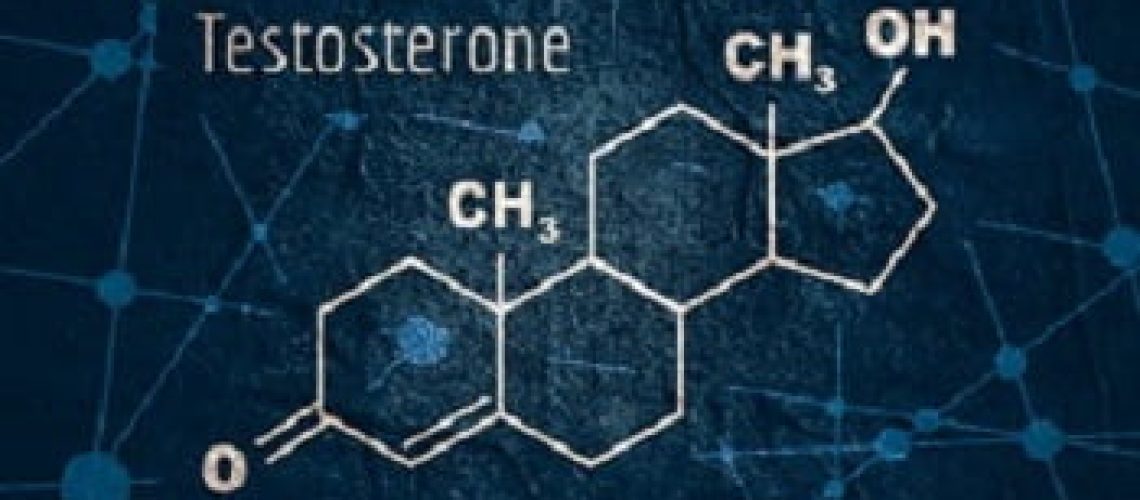 טסטוסטרון, CBD ומערכת הרבייה הגברית